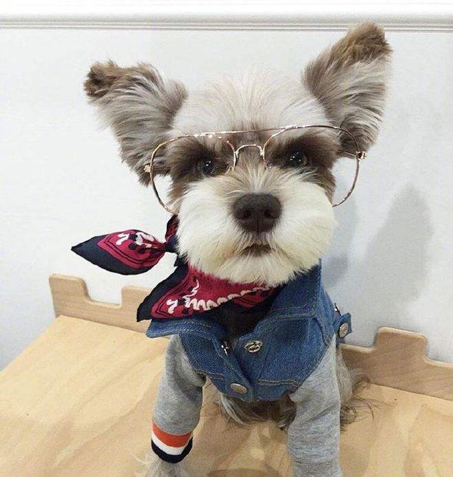 1606534975114963.jpg timg (1).jpg