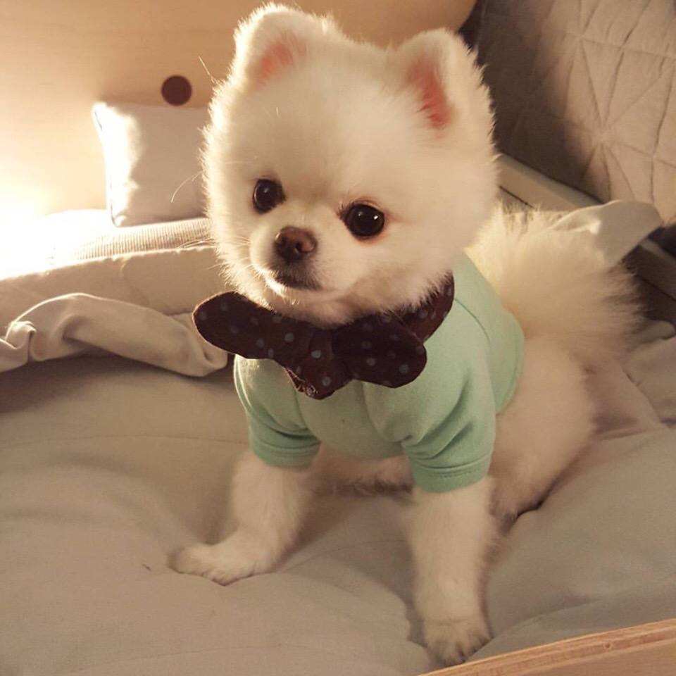 1606534986828749.jpg timg (2).jpg