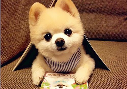 1606616977845574.jpg 2.jpg