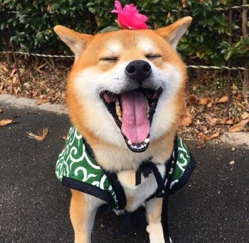 1606617004446067.jpg 4.jpg