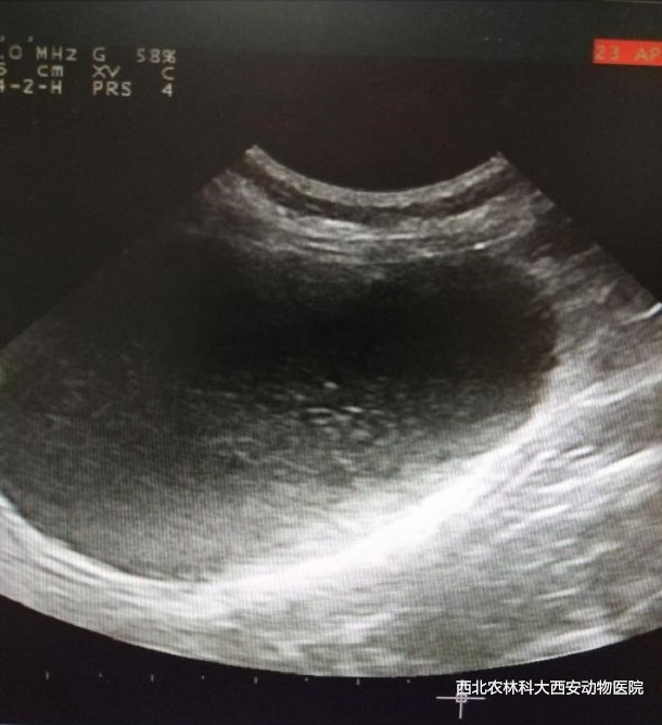 1616139178651242.jpg 3.jpg