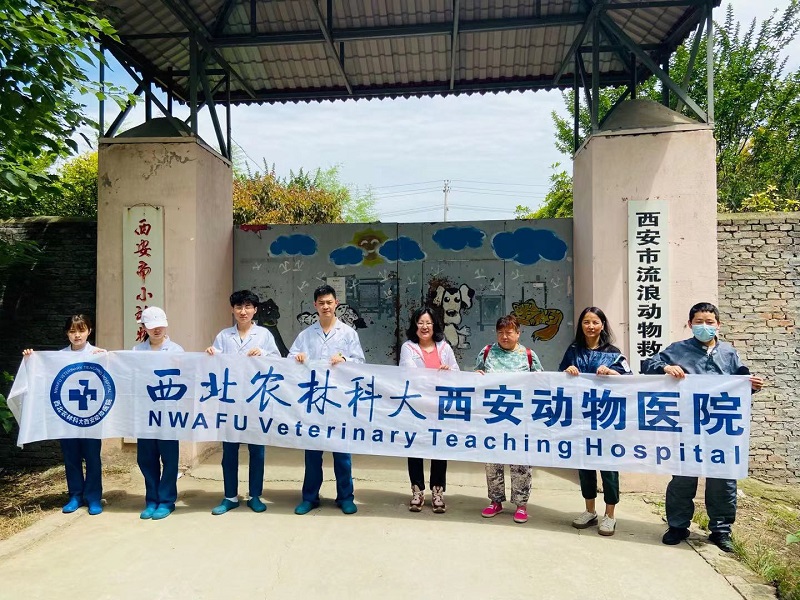 1624414529561607.jpg 3.jpg