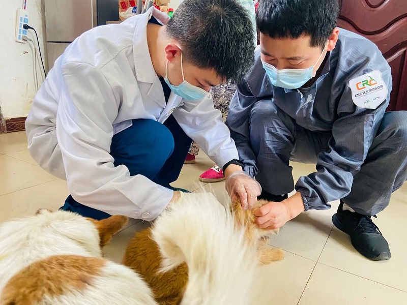 1624414584128742.jpg 7.jpg