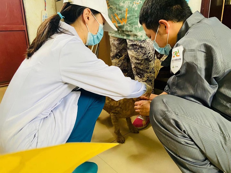 1624414595146265.jpg 8.jpg