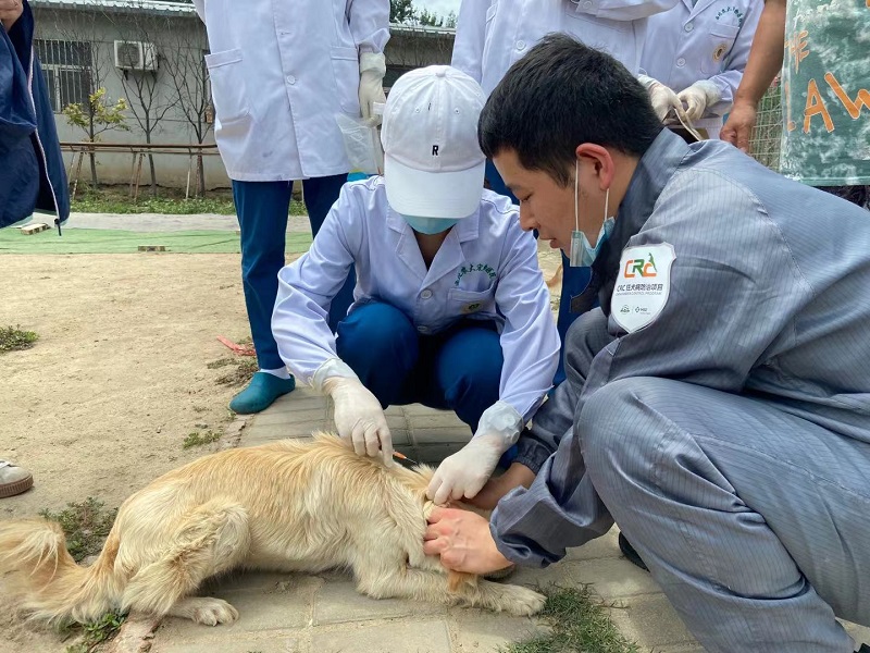 1624414605591643.jpg 9.jpg