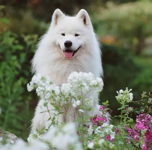 1630396269384273.jpg 11.jpg