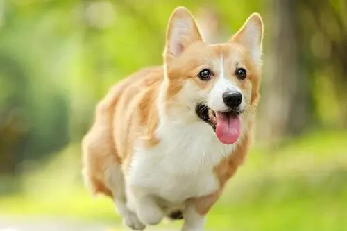 1630396307133355.jpg 14.jpg