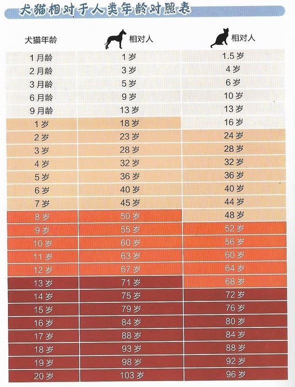 1632896880139706.jpg 1.jpg