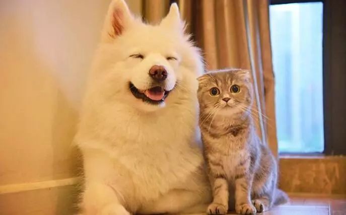 1632897004595990.jpeg 3.jpeg