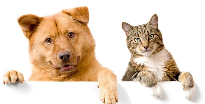 1632897296104489.jpeg 2.jpeg