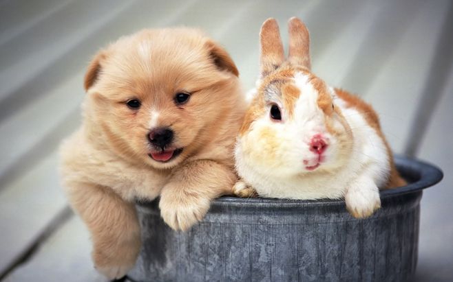 1635649721115807.jpeg 3.jpeg