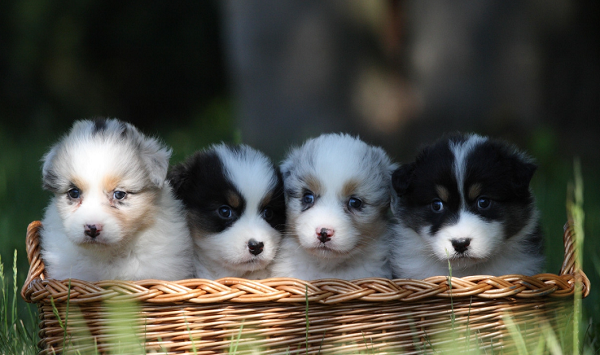 1635650053111581.png 1 (1).png