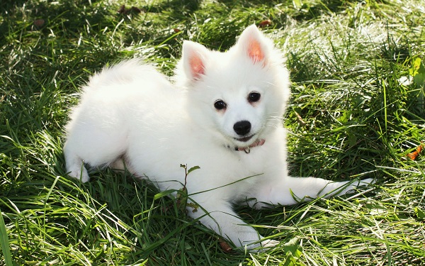 1636258434124568.jpeg 5eb41380abad4491ca32102d0b3b7f96.jpeg