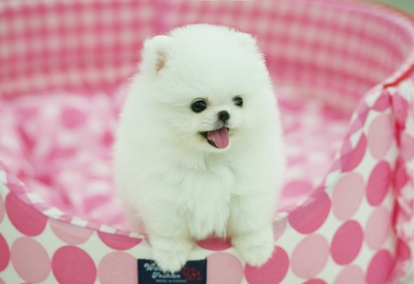 1636258444837828.jpeg 0202f891b567cbc4e7440fc7667177f4.jpeg