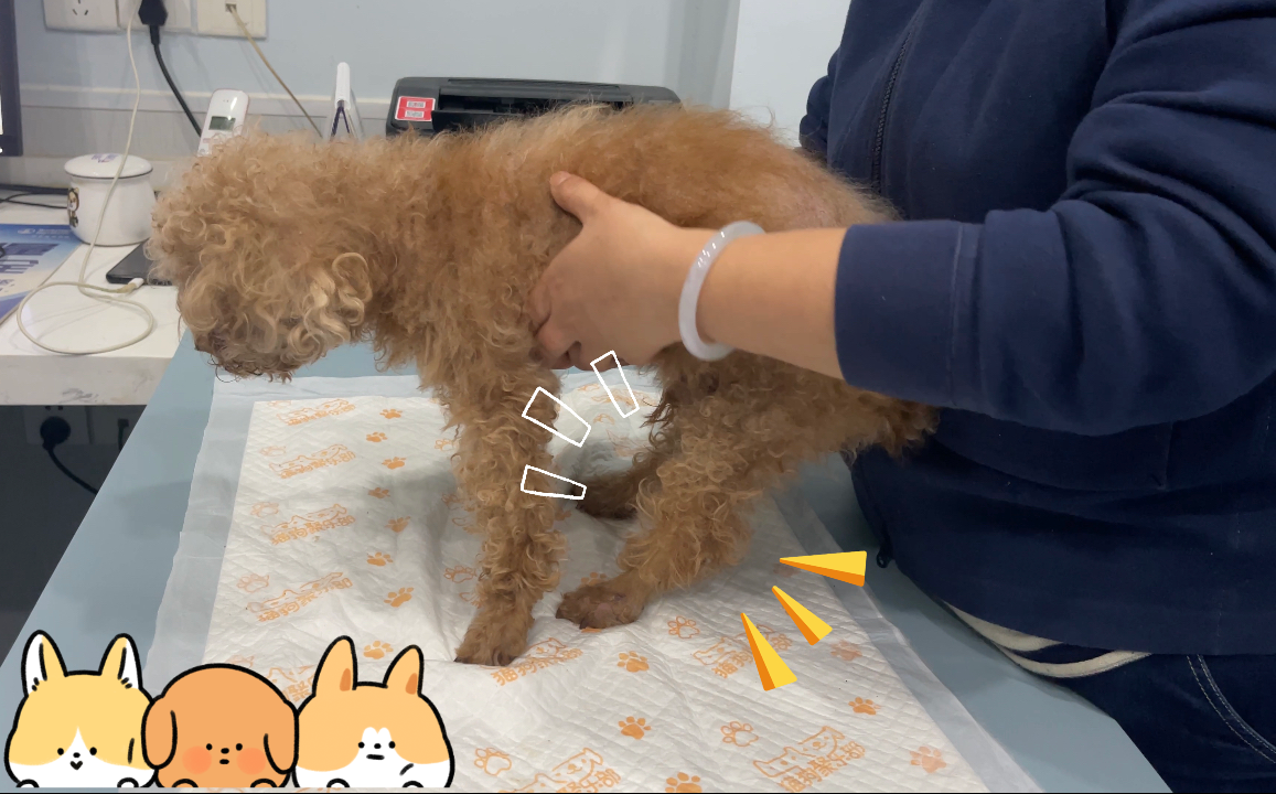 1702517401989300.png 微信圖片_20231214092832.png