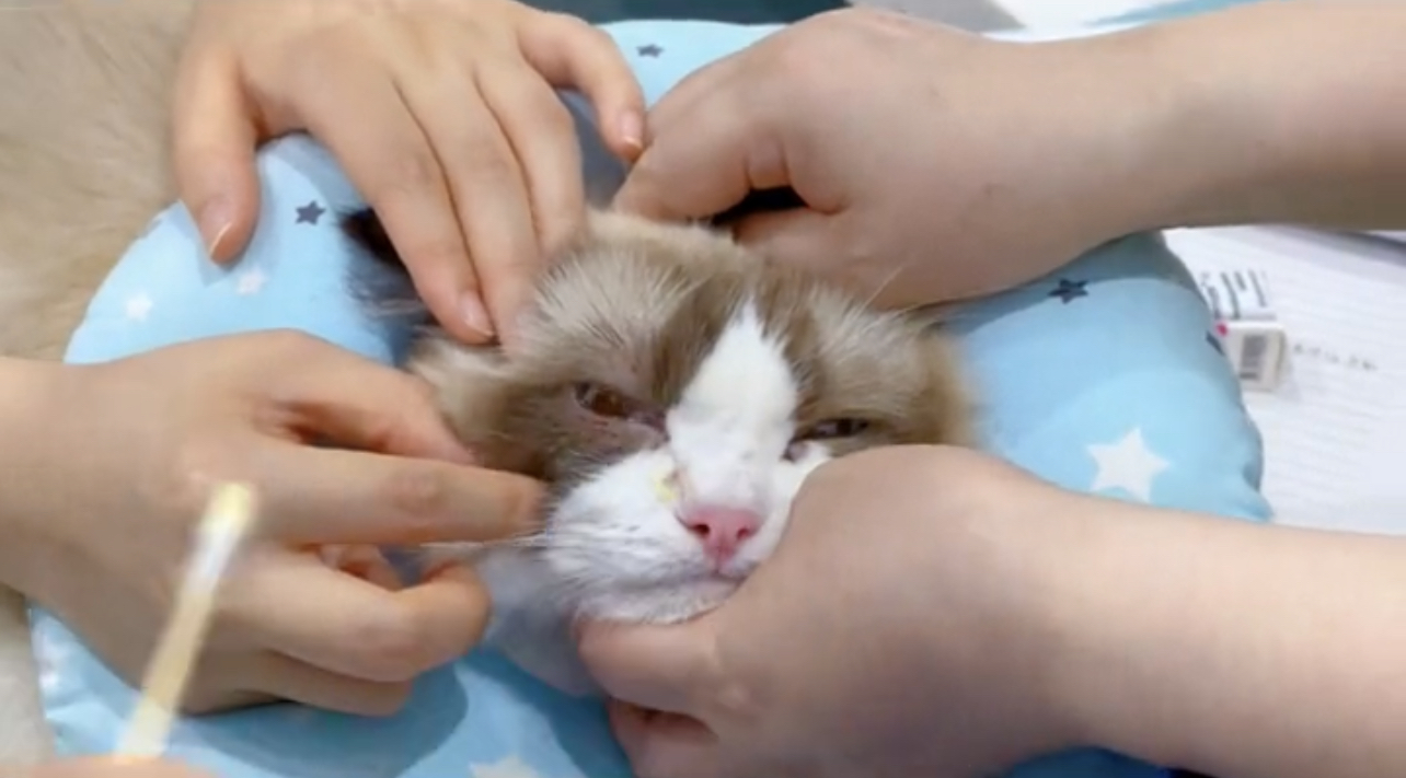 1702603379556530.jpg 微信圖片_20231215092222.jpg